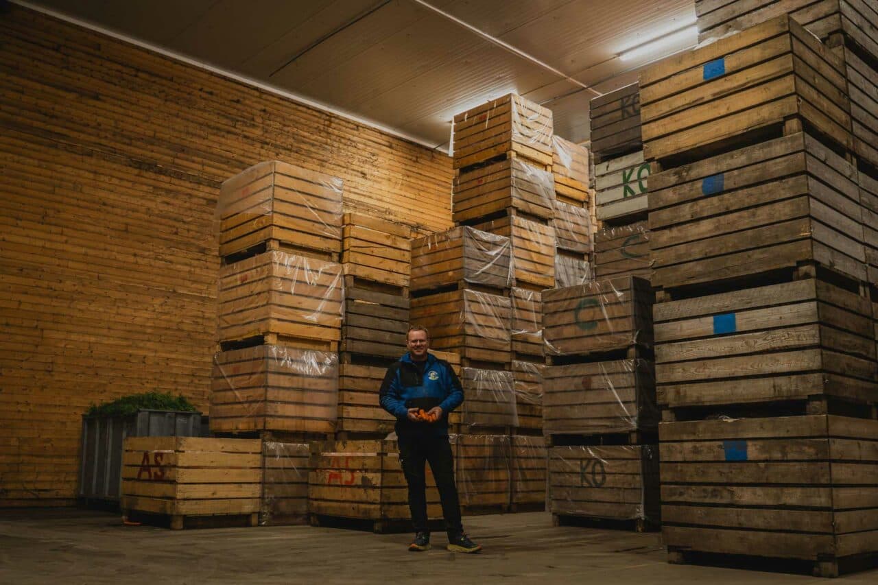 Kaldtlager med gulrøtter på Bru Gard